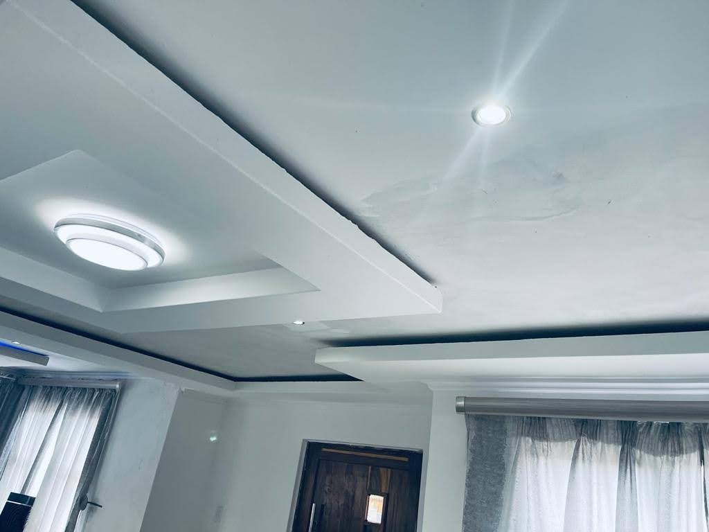 Ceilings & Drywall work